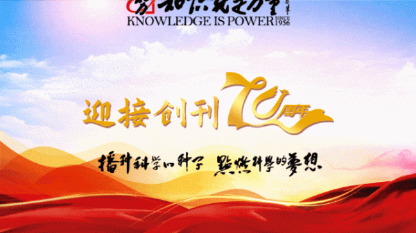 领航配资 徒手捡鸡心螺？你不要命啦！