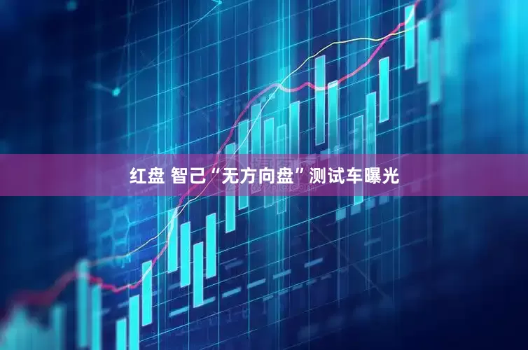 红盘 智己“无方向盘”测试车曝光